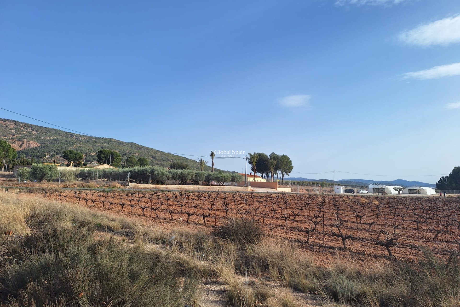 Resale - Grond -
Pinoso