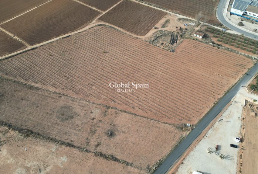 Resale - Grond -
Pinoso