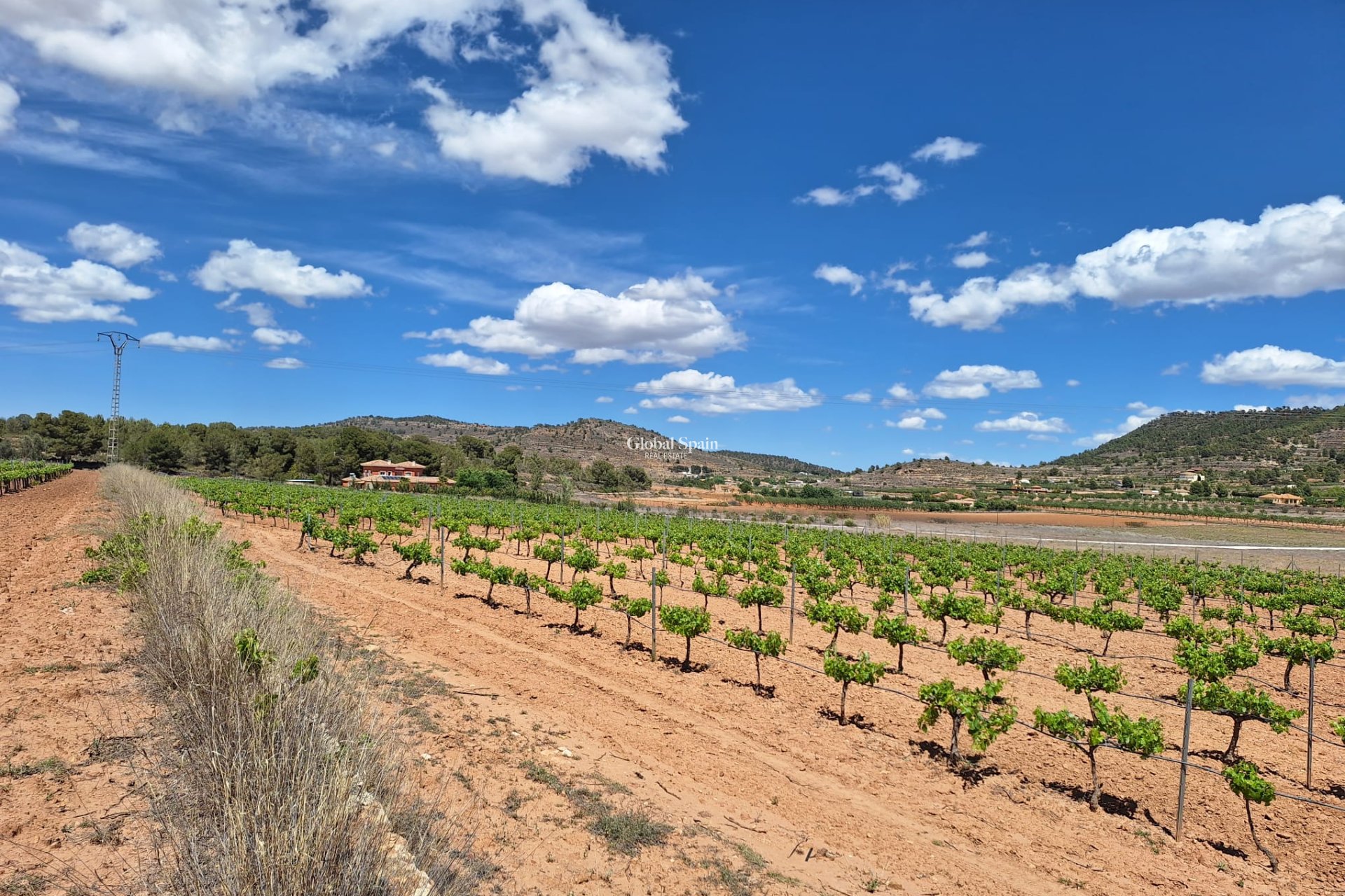 Resale - Grond -
Pinoso