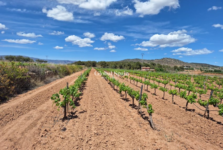 Resale - Grond -
Pinoso