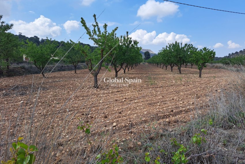 Resale - Grond -
Pinoso