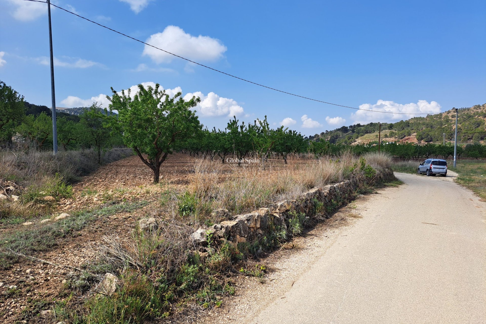 Resale - Grond -
Pinoso