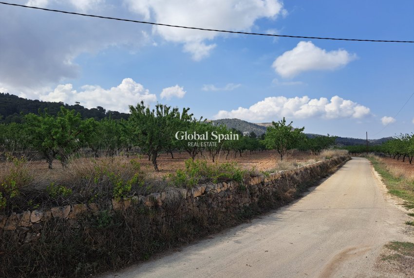 Resale - Grond -
Pinoso