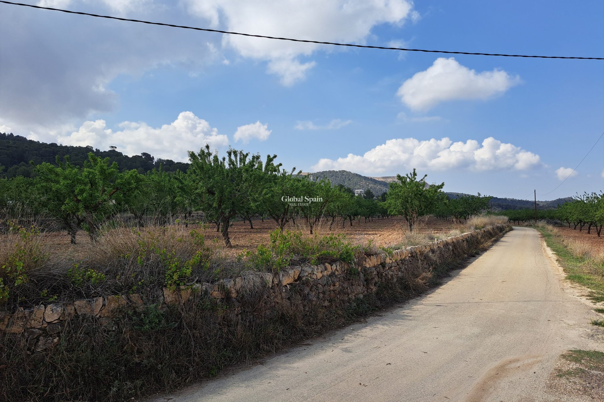 Resale - Grond -
Pinoso