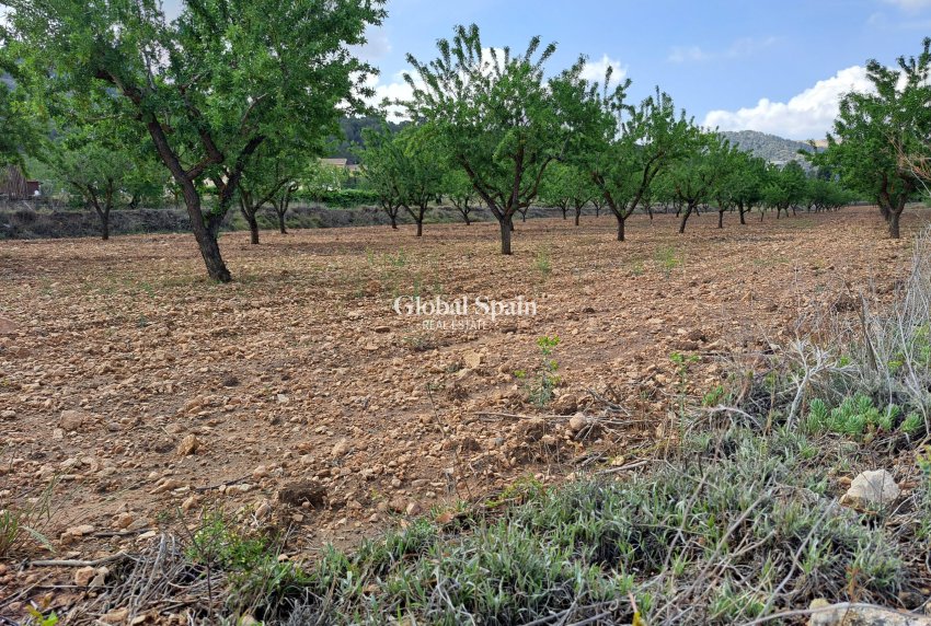 Resale - Grond -
Pinoso