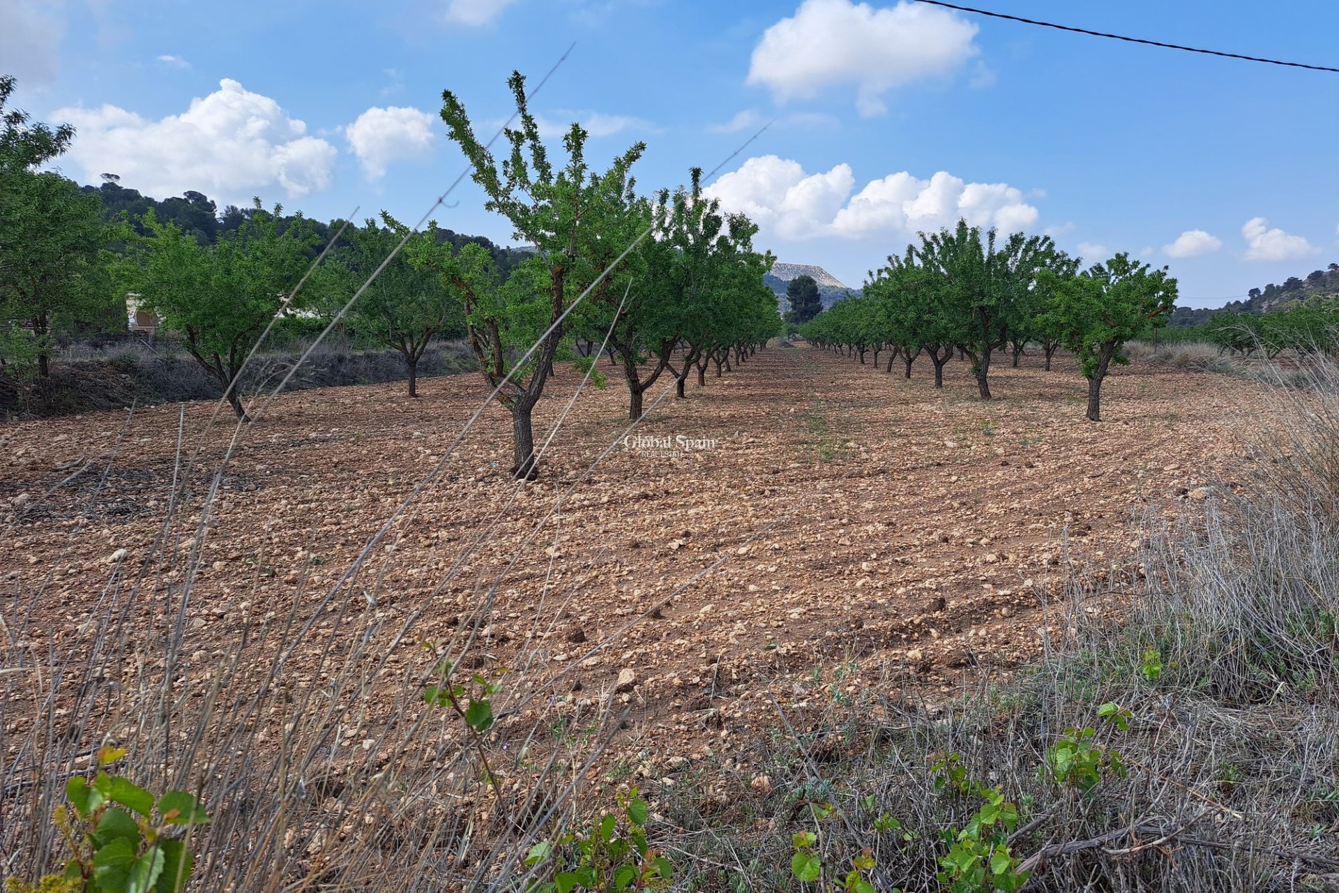 Resale - Grond -
Pinoso