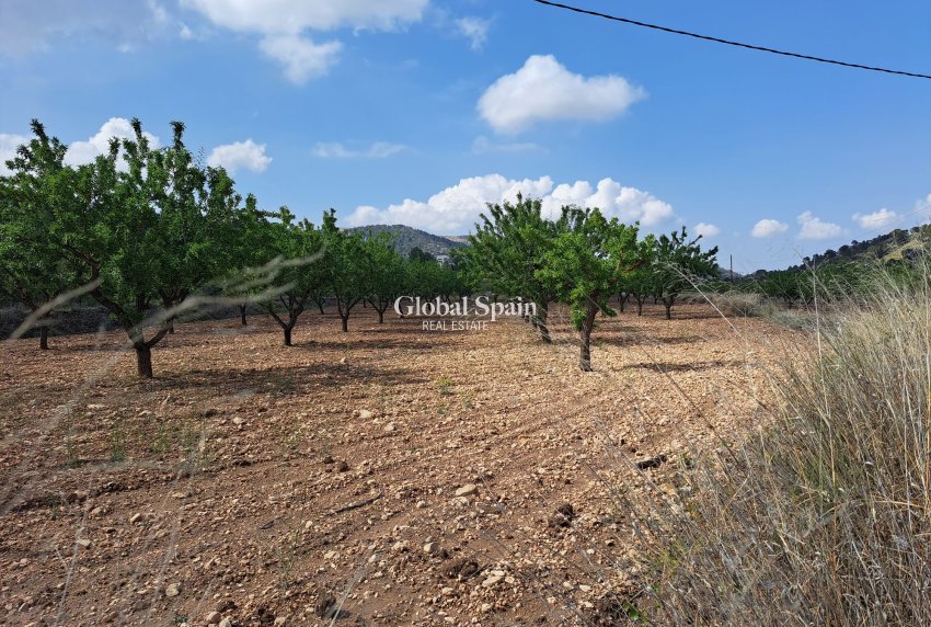 Resale - Grond -
Pinoso