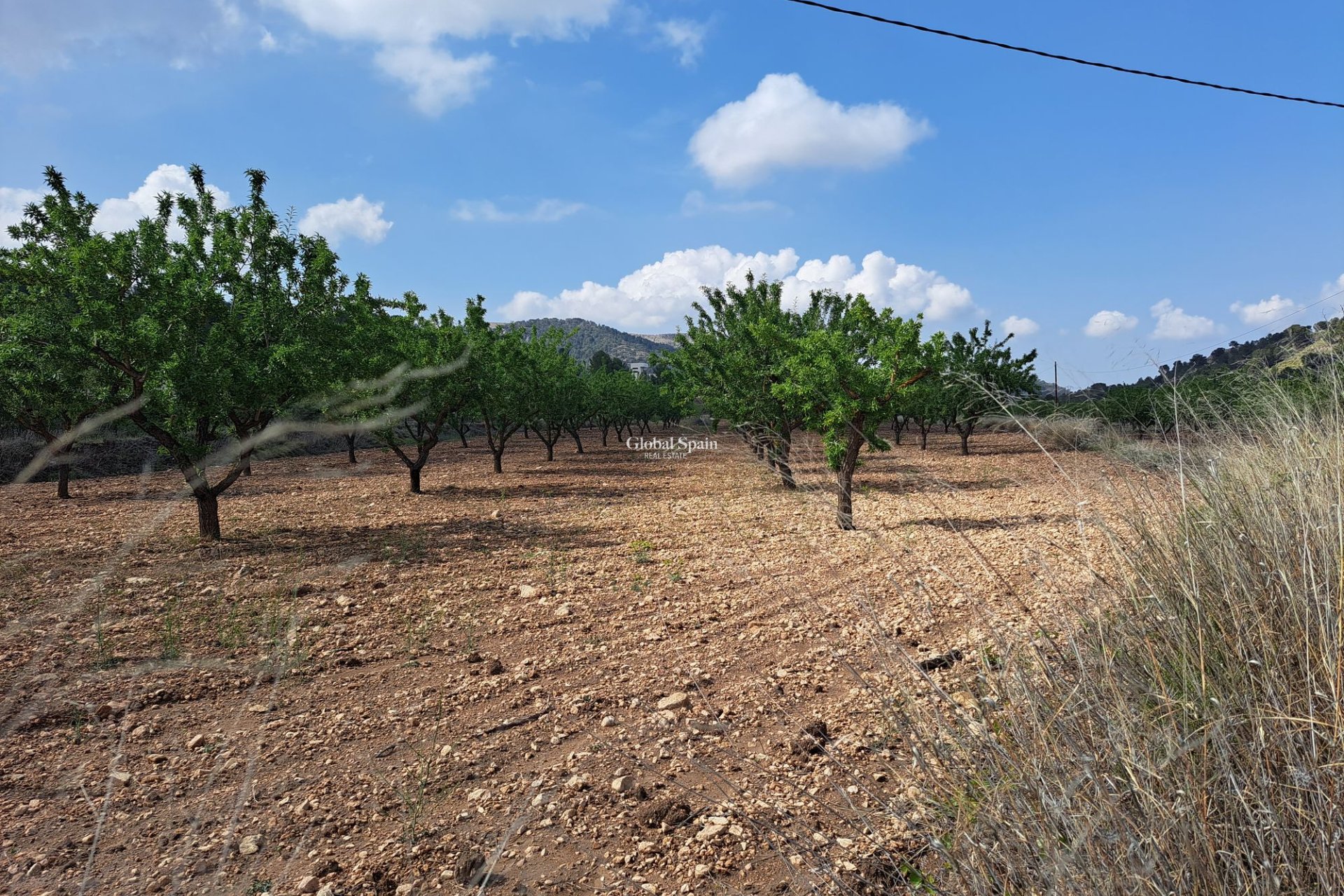 Resale - Grond -
Pinoso