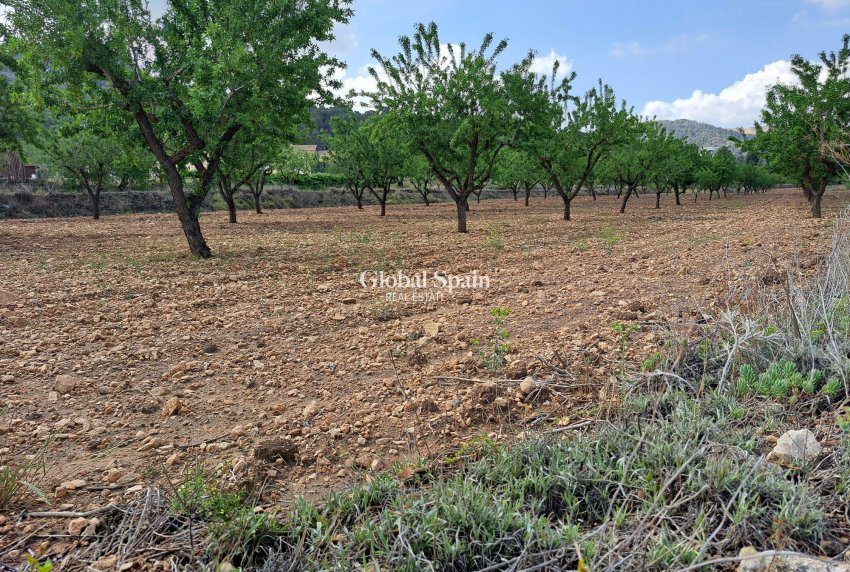 Resale - Grond -
Pinoso