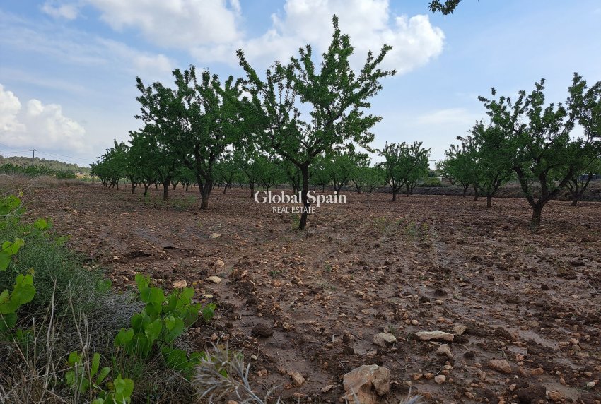 Resale - Grond -
Pinoso