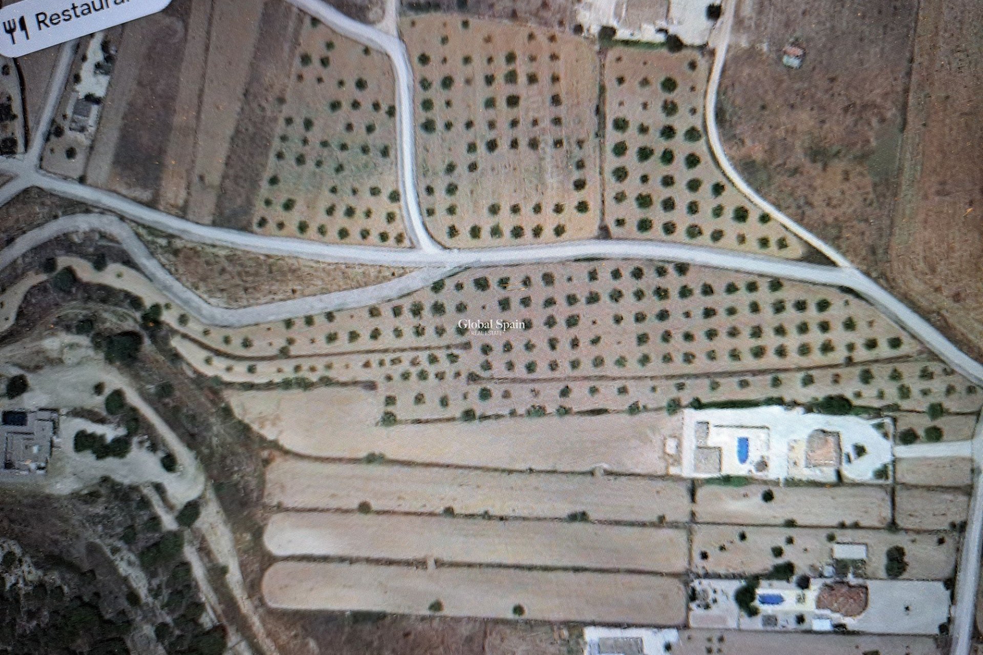 Resale - Grond -
Pinoso