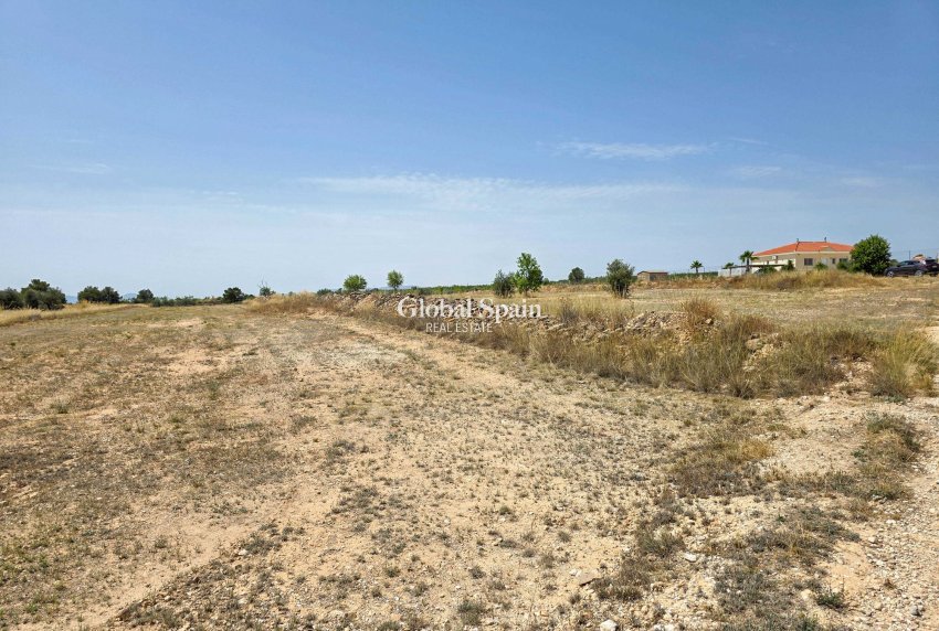 Resale - Grond -
Pinoso