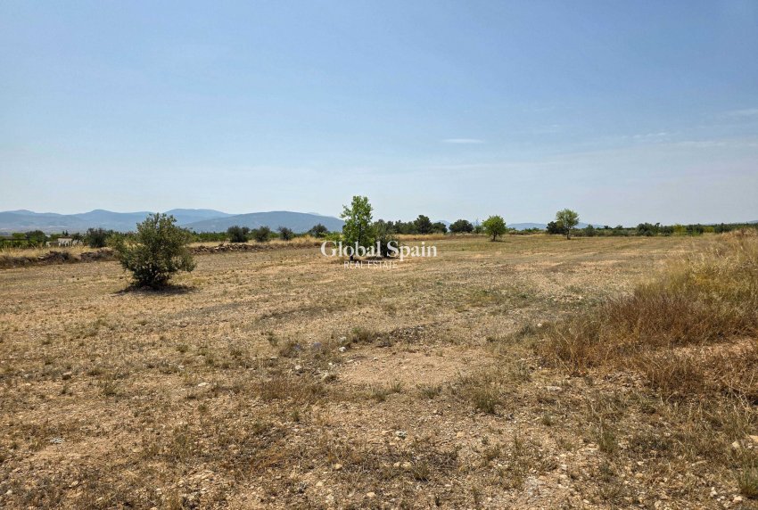 Resale - Grond -
Pinoso