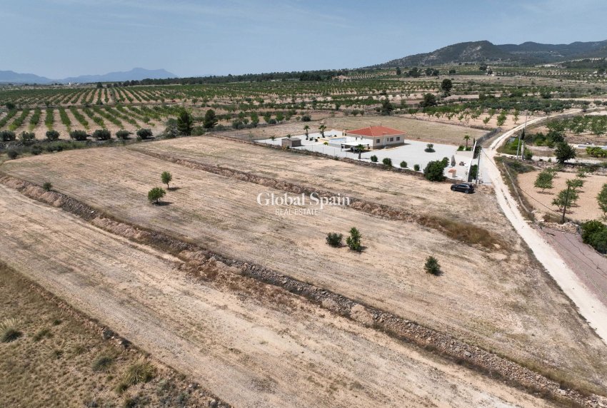 Resale - Grond -
Pinoso