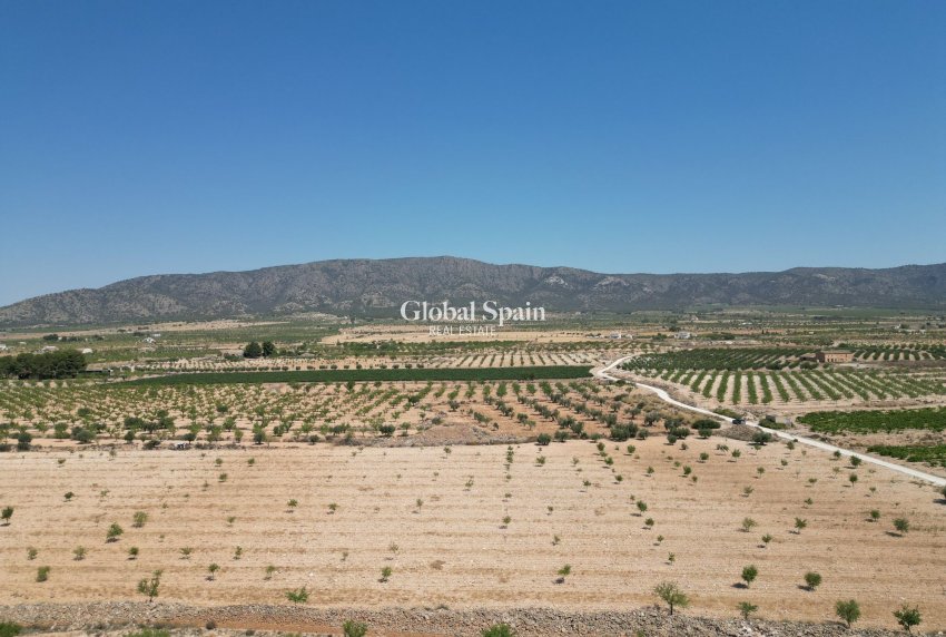 Resale - Grond -
Pinoso