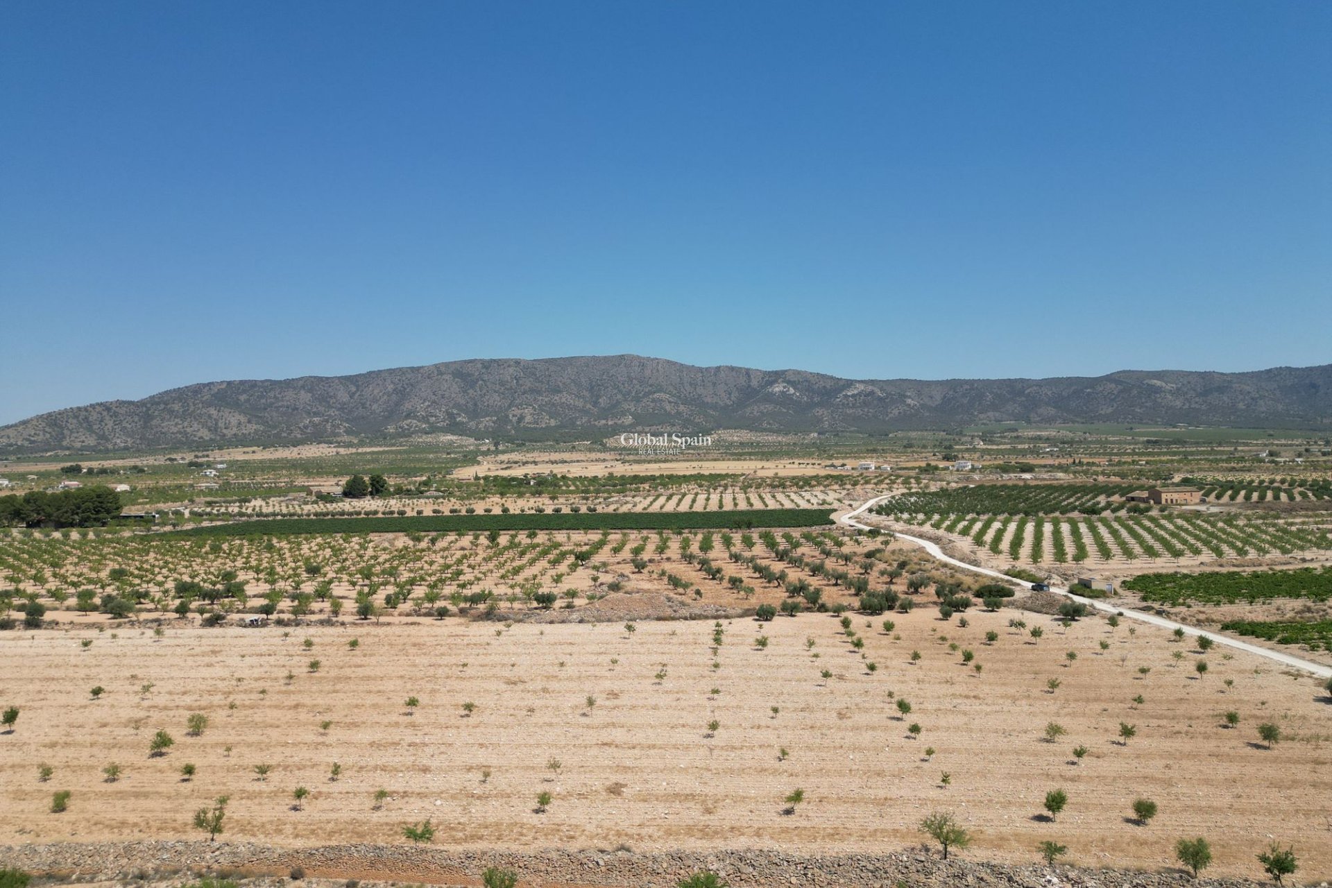 Resale - Grond -
Pinoso