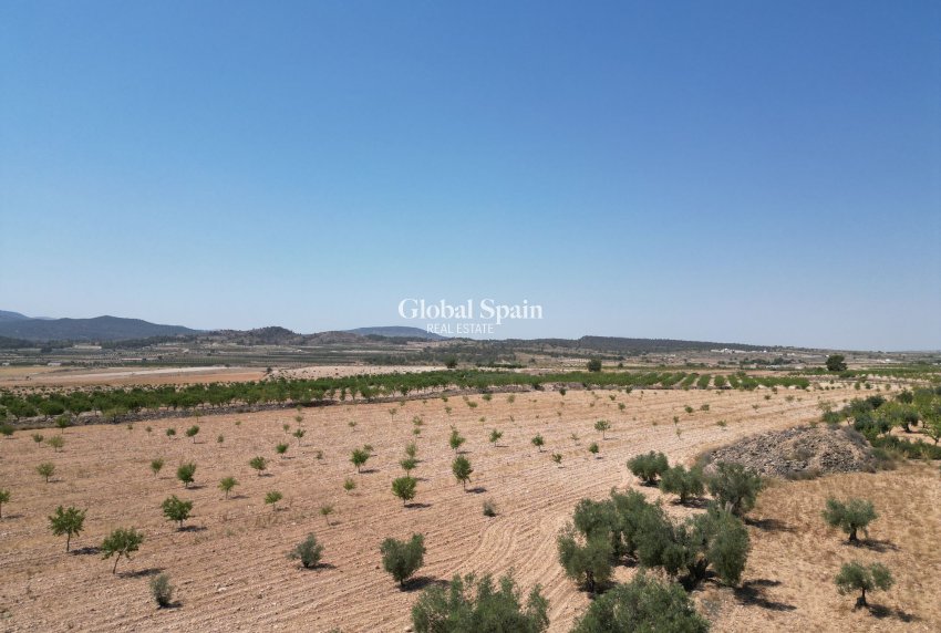 Resale - Grond -
Pinoso