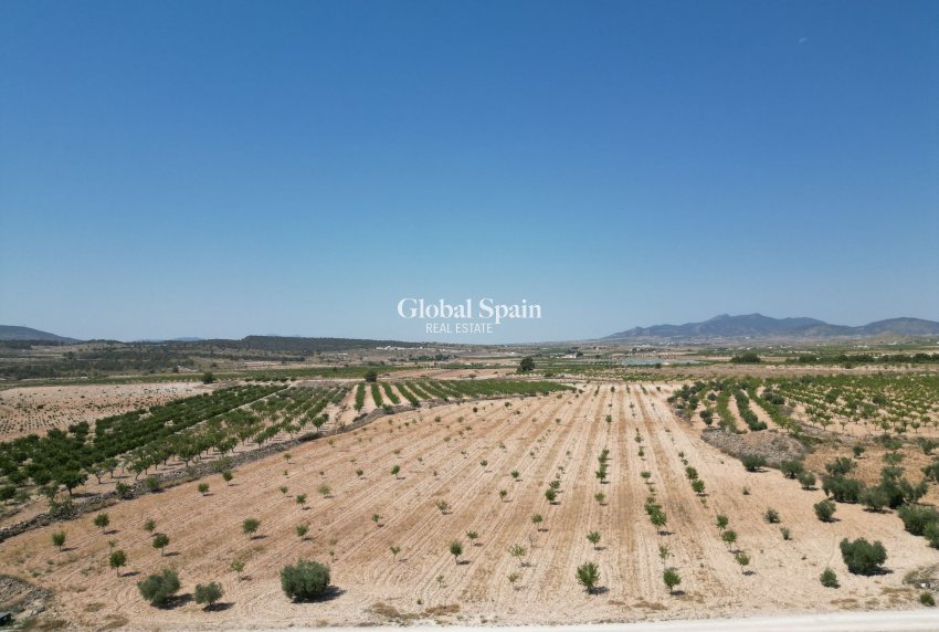 Resale - Grond -
Pinoso