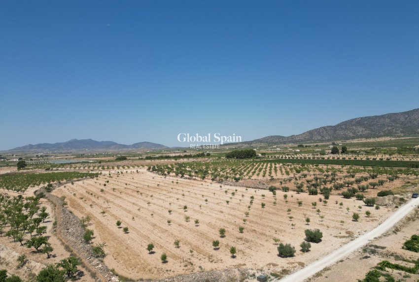 Resale - Grond -
Pinoso