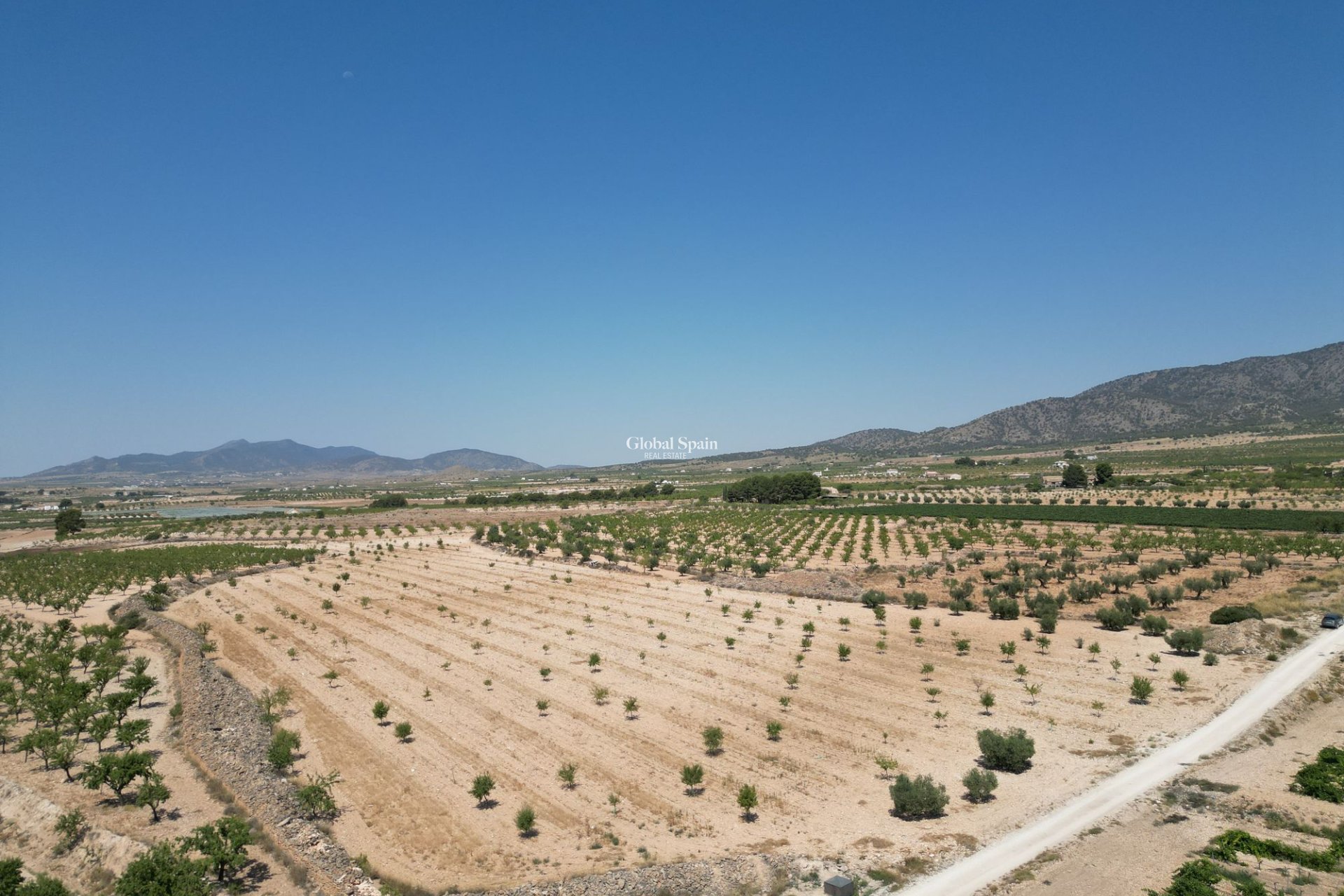 Resale - Grond -
Pinoso