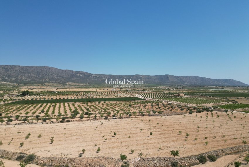 Resale - Grond -
Pinoso