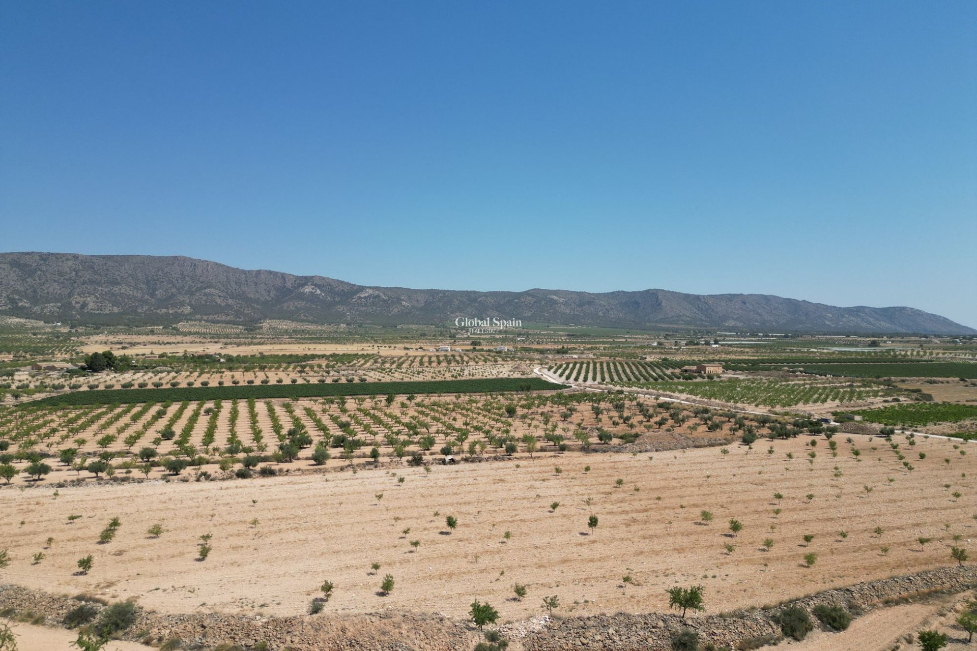 Resale - Grond -
Pinoso