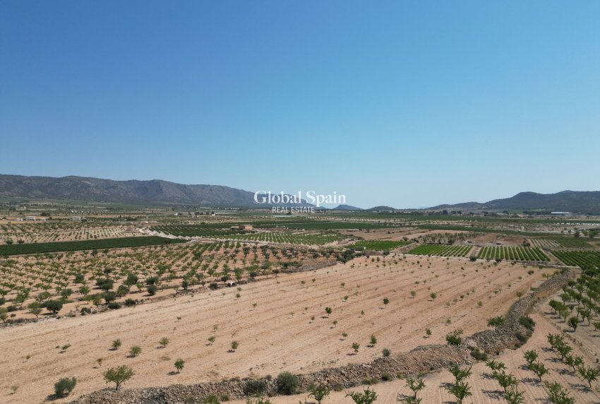 Resale - Grond -
Pinoso