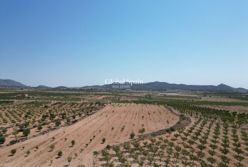 Resale - Grond -
Pinoso