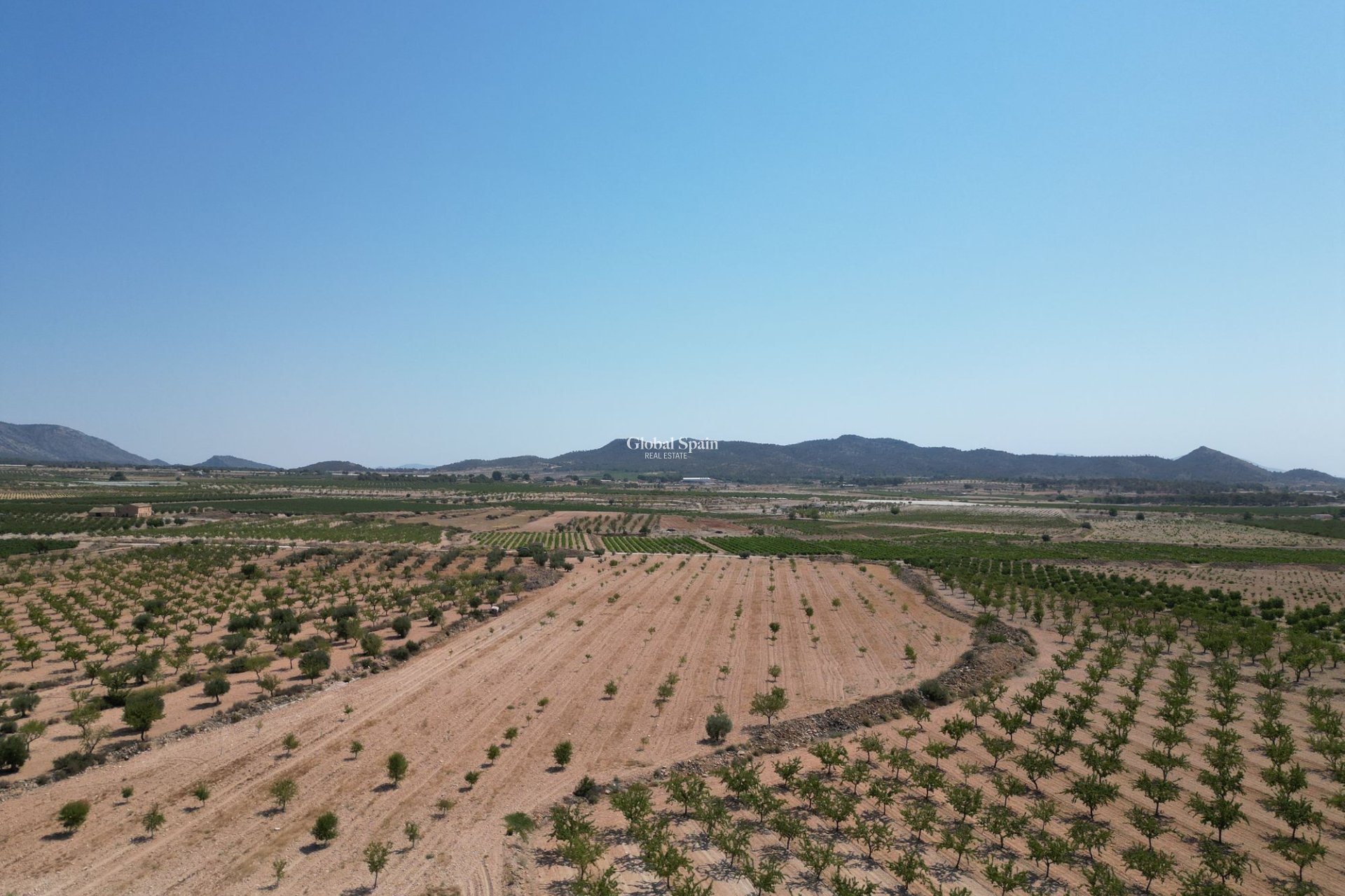 Resale - Grond -
Pinoso