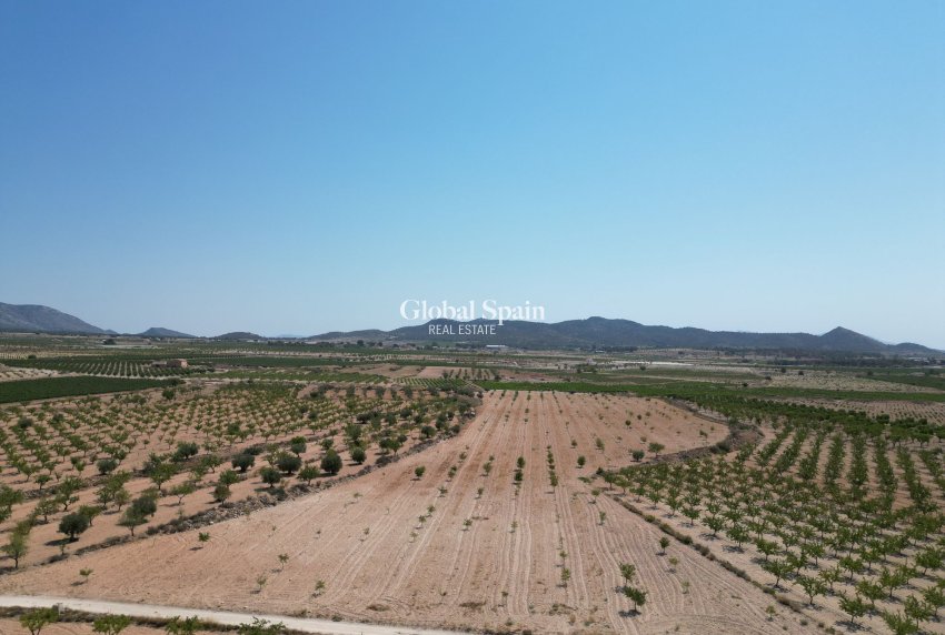 Resale - Grond -
Pinoso