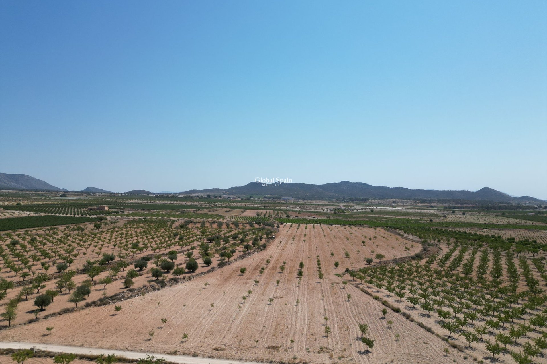 Resale - Grond -
Pinoso