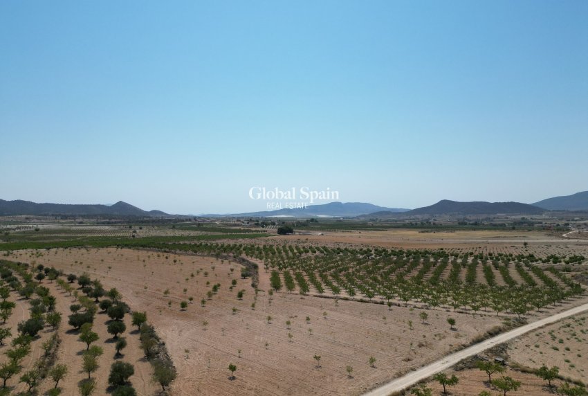 Resale - Grond -
Pinoso