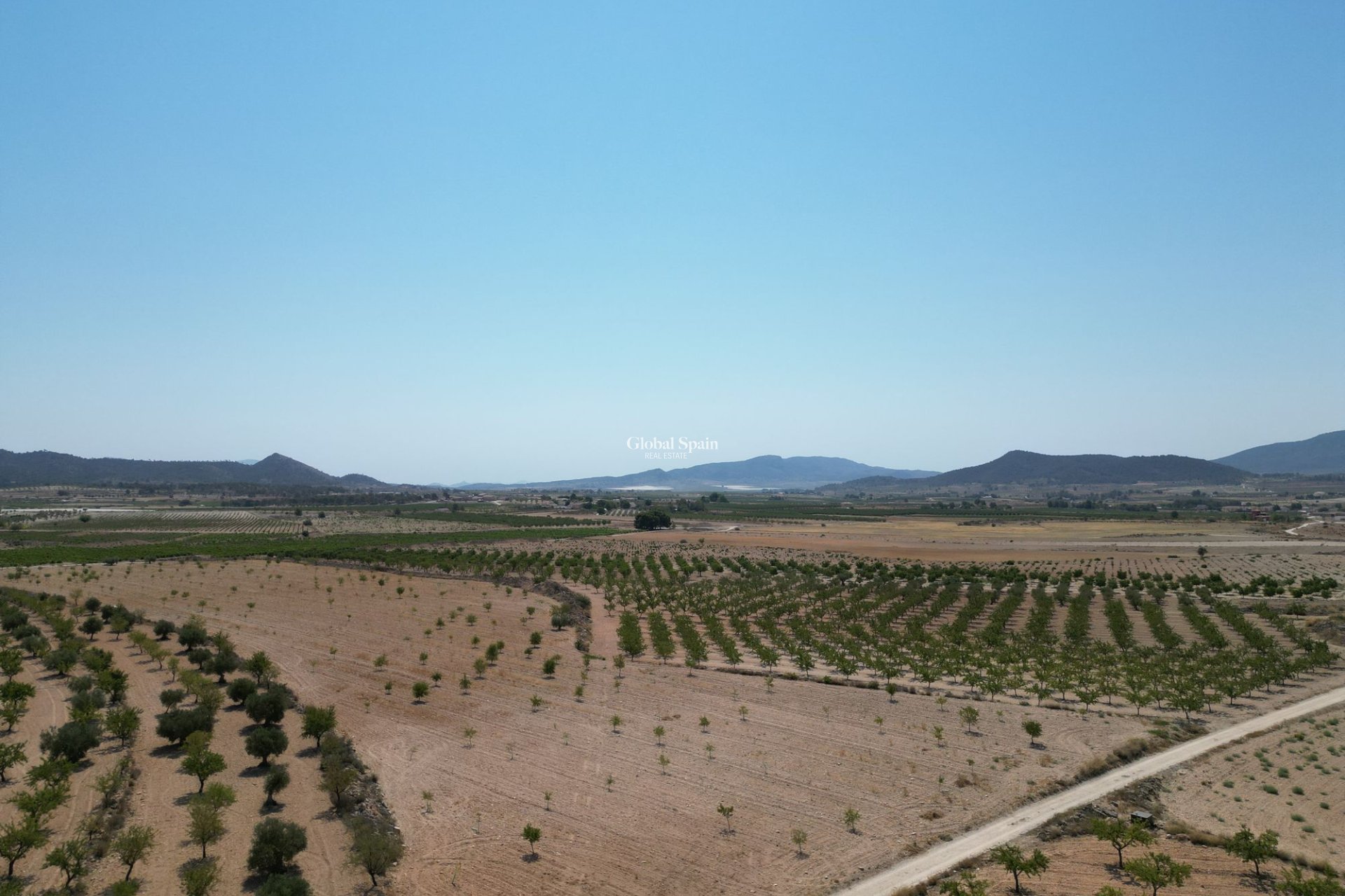 Resale - Grond -
Pinoso