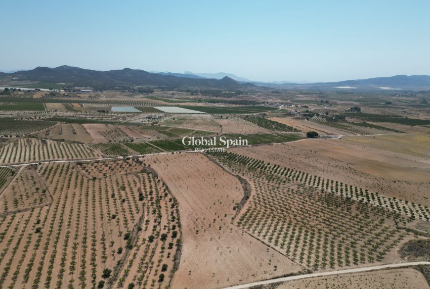 Resale - Grond -
Pinoso