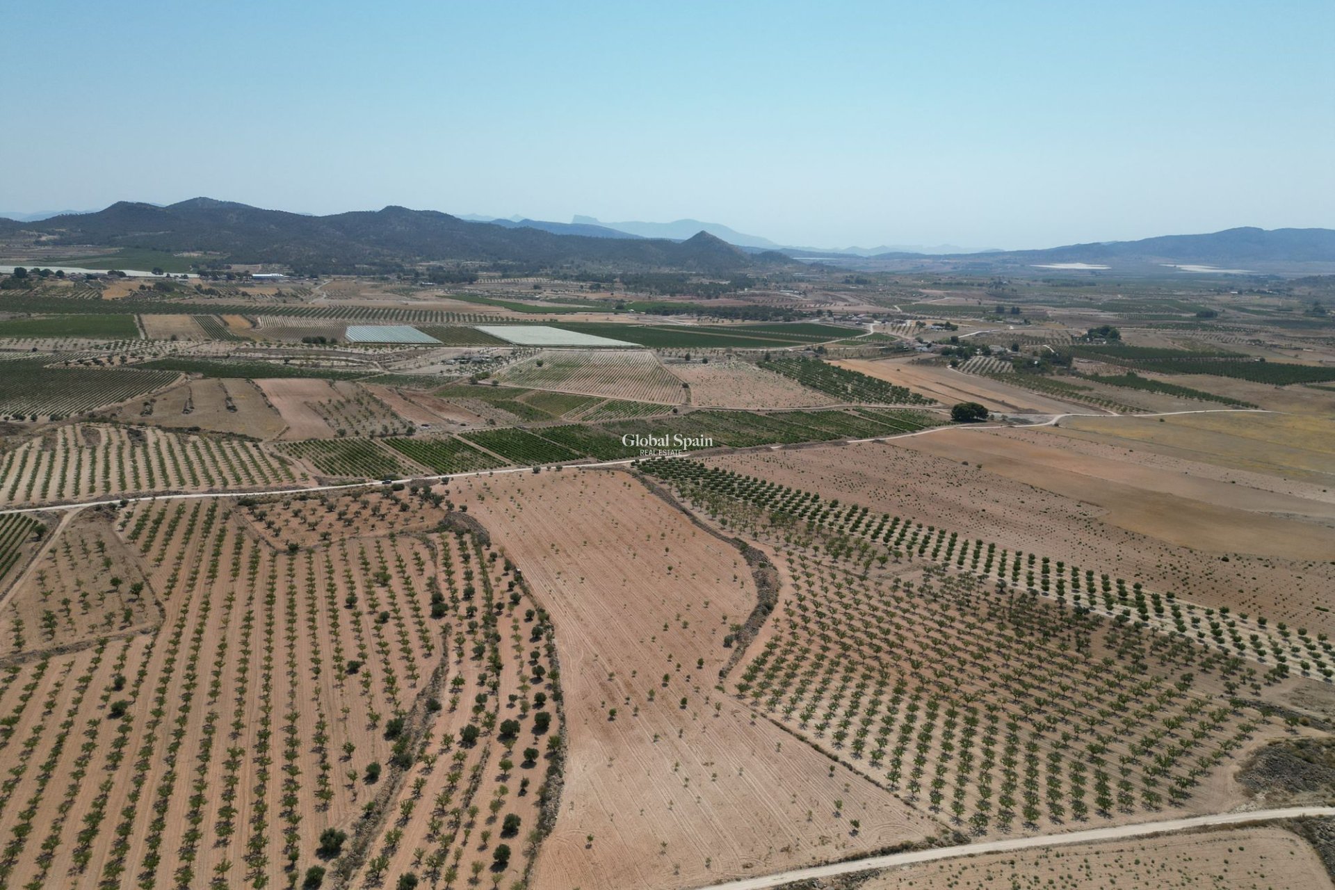 Resale - Grond -
Pinoso