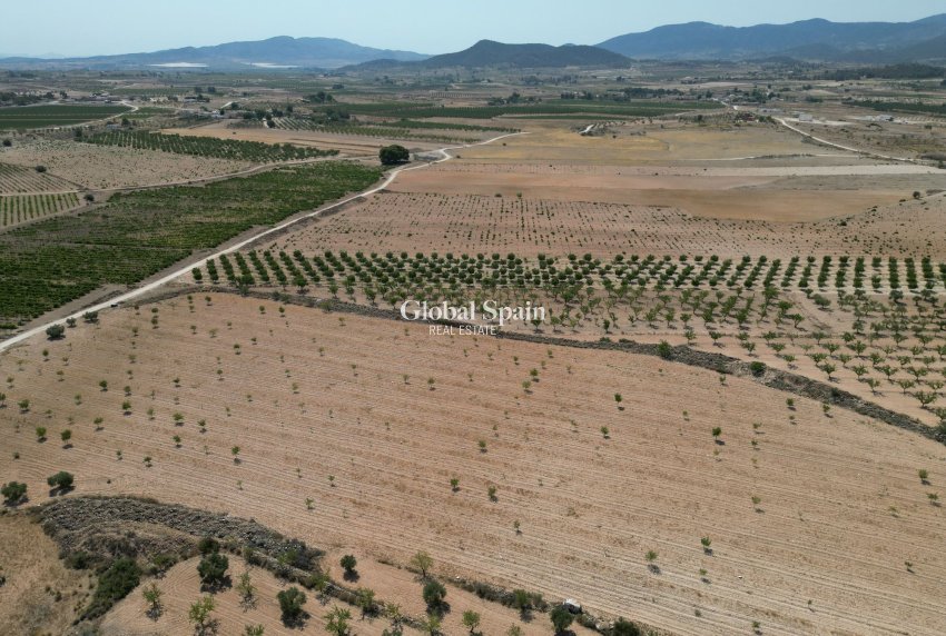 Resale - Grond -
Pinoso