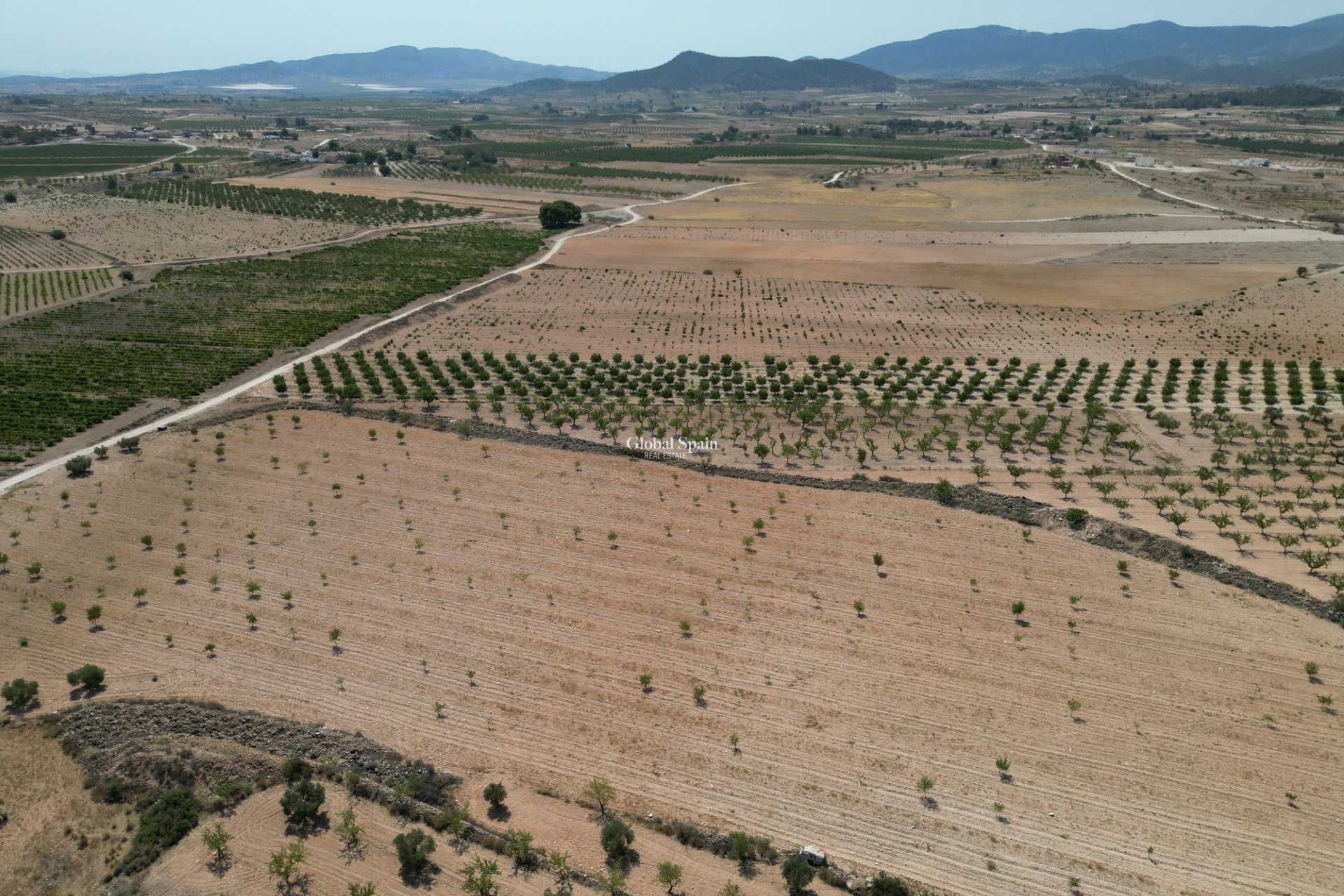 Resale - Grond -
Pinoso