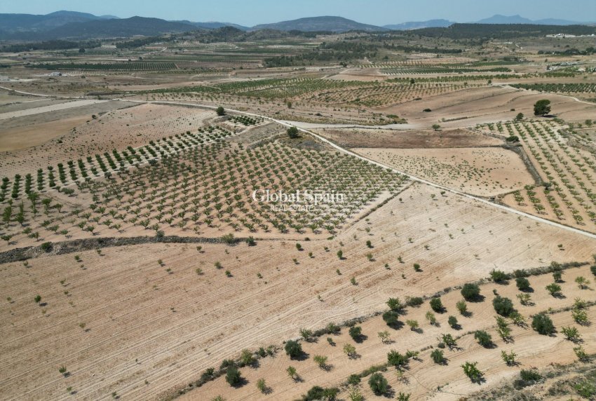 Resale - Grond -
Pinoso