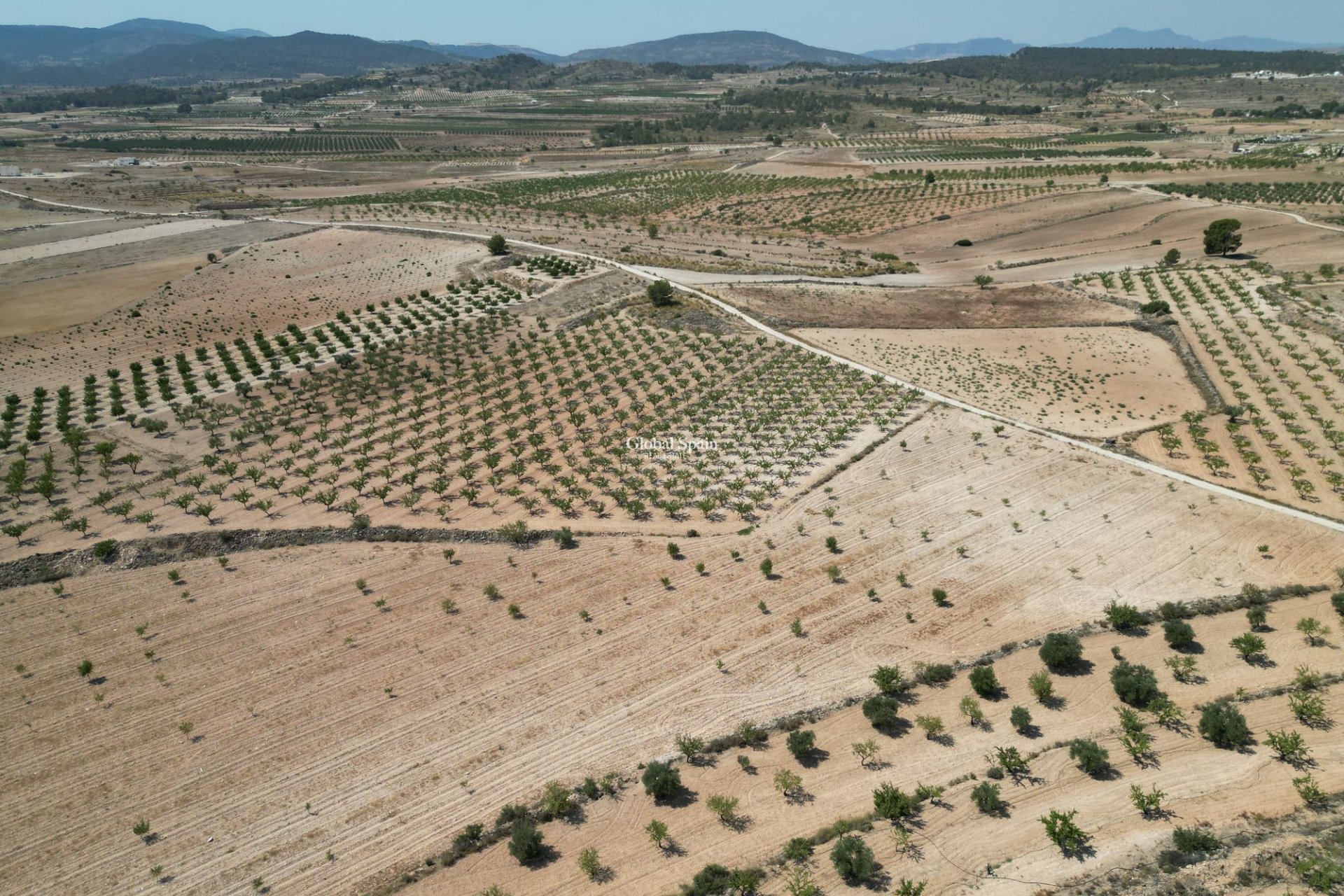 Resale - Grond -
Pinoso