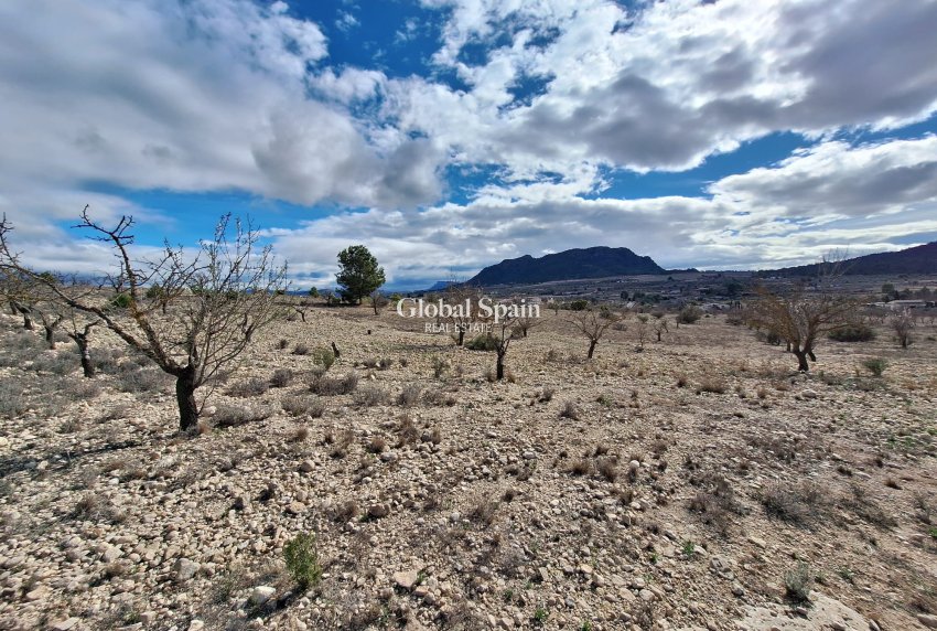 Resale - Grond -
Salinas