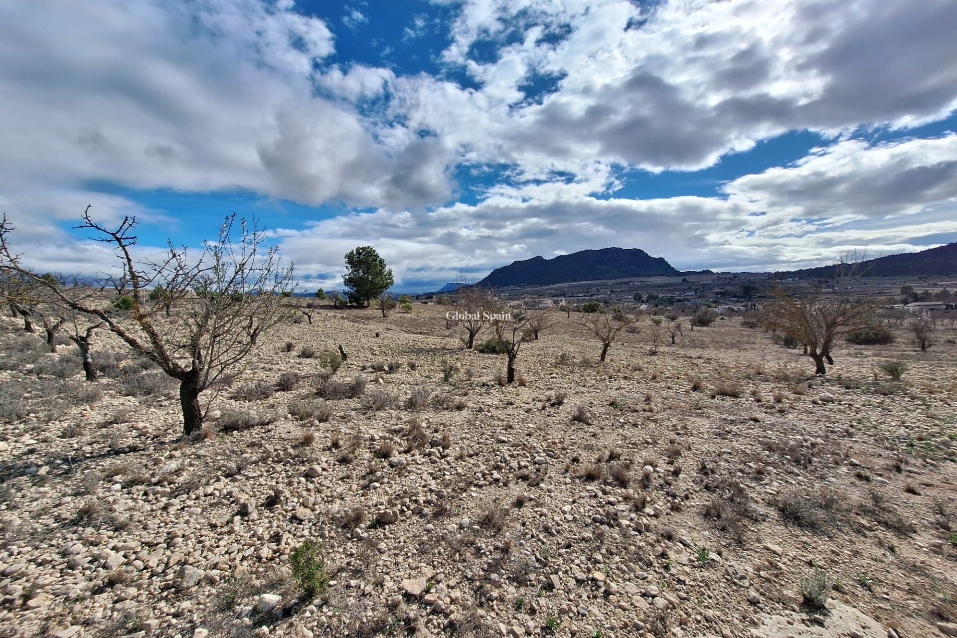 Resale - Grond -
Salinas