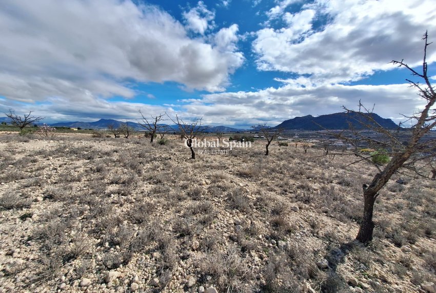 Resale - Grond -
Salinas