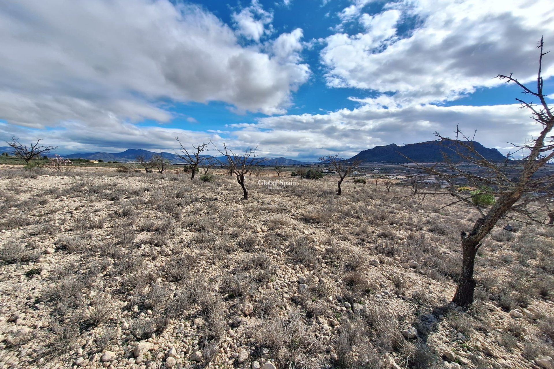 Resale - Grond -
Salinas