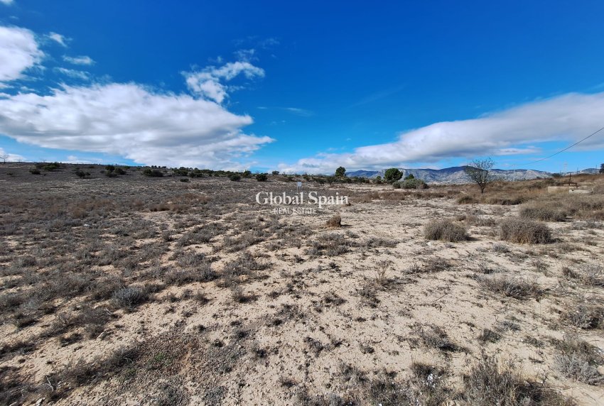 Resale - Grond -
Salinas