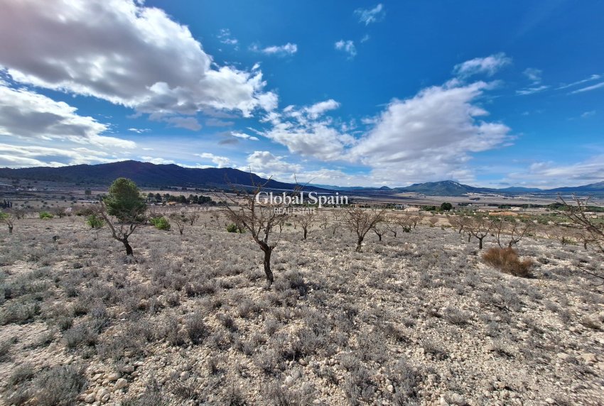 Resale - Grond -
Salinas