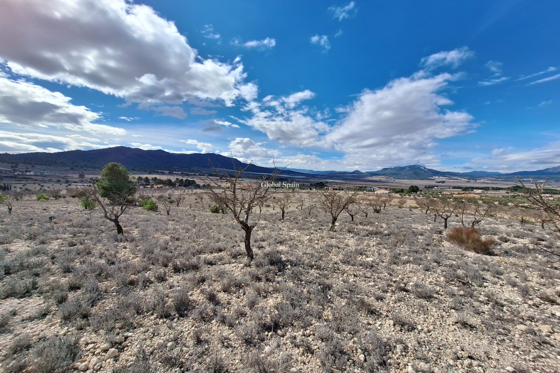 Resale - Grond -
Salinas