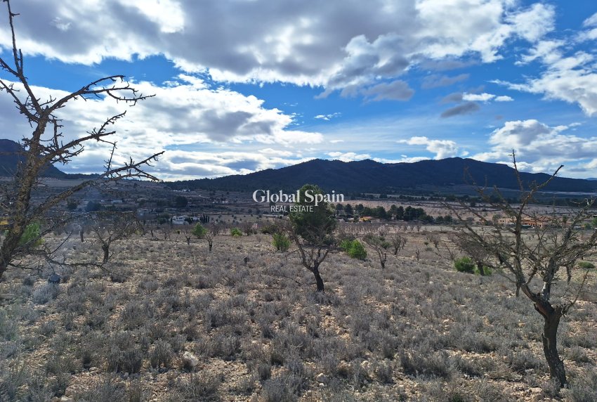 Resale - Grond -
Salinas