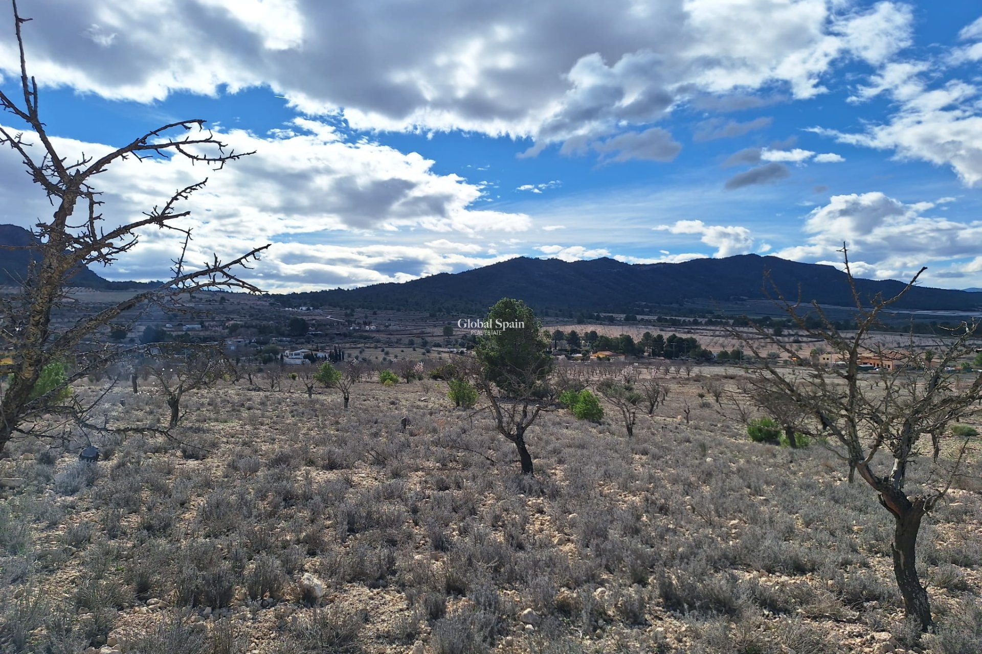 Resale - Grond -
Salinas