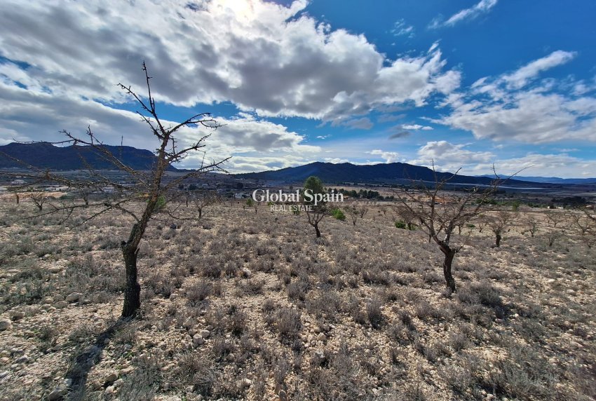 Resale - Grond -
Salinas