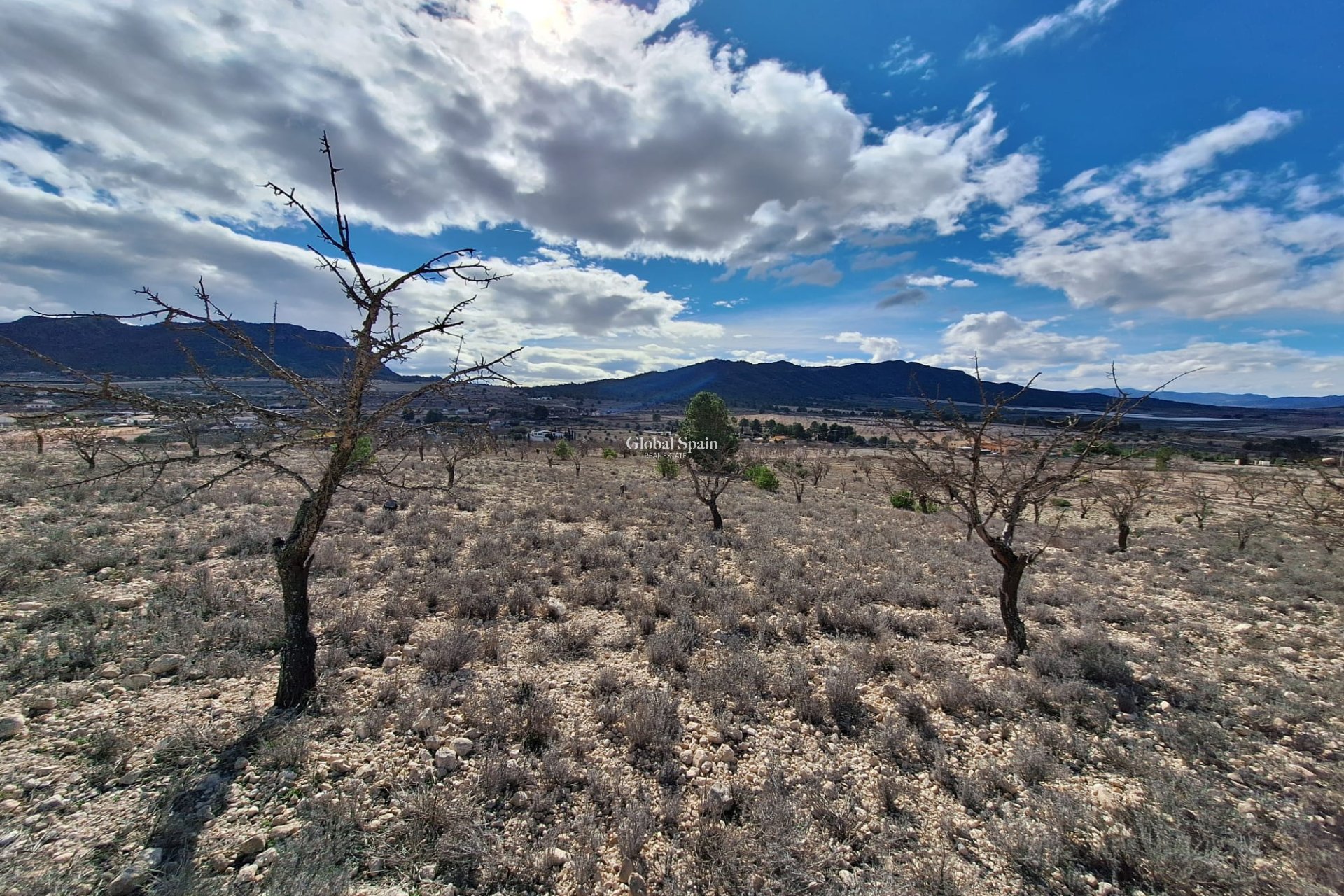 Resale - Grond -
Salinas